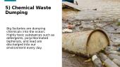 Water pollution: causes and effects 8 puslapis