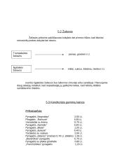 Verslo planas: konditerijos IĮ "Saldi pagunda" 12 puslapis