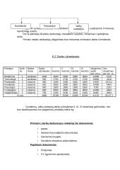 Verslo planas: konditerijos IĮ "Saldi pagunda" 17 puslapis