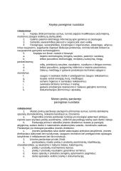 Verslo planas: konditerijos IĮ "Saldi pagunda" 7 puslapis