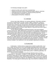 Verslo planas: konditerijos IĮ "Saldi pagunda" 9 puslapis