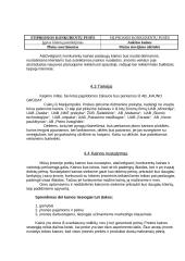 Verslo planas: konditerijos IĮ "Saldi pagunda" 10 puslapis