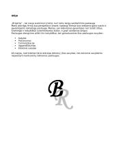 Verslo planas: langų sandarinimas "Brigerta"