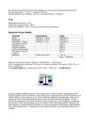 Verslo planas: langų sandarinimas "Brigerta" 3 puslapis