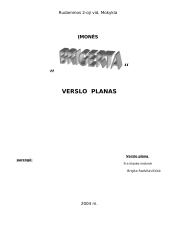 Verslo planas: langų sandarinimas "Brigerta" 5 puslapis