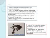 Sidabras (Ag) ir auksas (Au) 5 puslapis