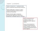 Sidabras (Ag) ir auksas (Au) 7 puslapis