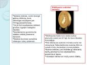 Sidabras (Ag) ir auksas (Au) 8 puslapis