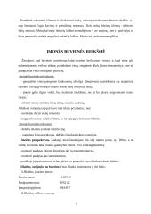 Verslo planas: naktinis klubas "Fargus" 11 puslapis