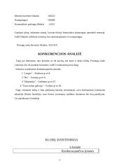 Verslo planas: naktinis klubas "Fargus" 12 puslapis