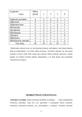 Verslo planas: naktinis klubas "Fargus" 13 puslapis