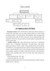 Verslo planas: naktinis klubas "Fargus" 3 puslapis