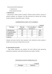 Verslo planas: naktinis klubas "Fargus" 5 puslapis