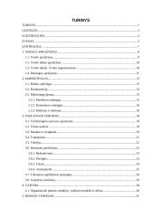 Verslo planas: plastikinių langų sandarinimas UAB "Plastiketa"