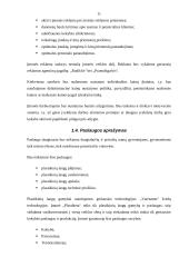Verslo planas: plastikinių langų sandarinimas UAB "Plastiketa" 11 puslapis