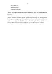 Verslo planas: plastikinių langų sandarinimas UAB "Plastiketa" 12 puslapis