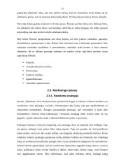 Verslo planas: plastikinių langų sandarinimas UAB "Plastiketa" 15 puslapis