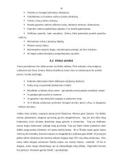 Verslo planas: plastikinių langų sandarinimas UAB "Plastiketa" 19 puslapis