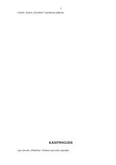 Verslo planas: plastikinių langų sandarinimas UAB "Plastiketa" 3 puslapis