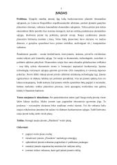 Verslo planas: plastikinių langų sandarinimas UAB "Plastiketa" 5 puslapis