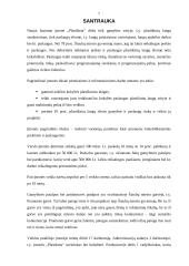 Verslo planas: plastikinių langų sandarinimas UAB "Plastiketa" 7 puslapis