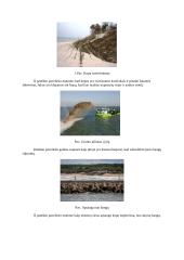 Baltijos jūros pakrančių išsaugojimas. Straipsnio analizė 2 puslapis