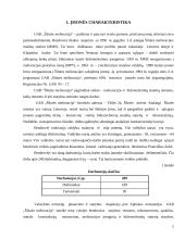 Verslo planas: rangos darbai UAB "Šilutės melioracija" 2 puslapis