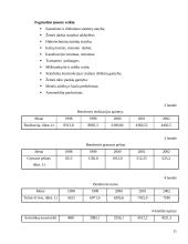 Verslo planas: rangos darbai UAB "Šilutės melioracija" 11 puslapis