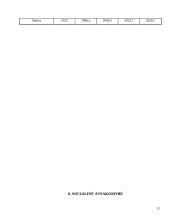 Verslo planas: rangos darbai UAB "Šilutės melioracija" 12 puslapis