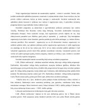 Verslo planas: rangos darbai UAB "Šilutės melioracija" 13 puslapis