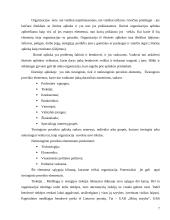 Verslo planas: rangos darbai UAB "Šilutės melioracija" 7 puslapis