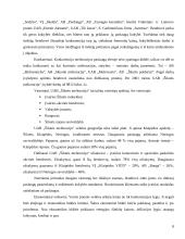 Verslo planas: rangos darbai UAB "Šilutės melioracija" 8 puslapis