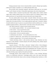 Verslo planas: rangos darbai UAB "Šilutės melioracija" 9 puslapis