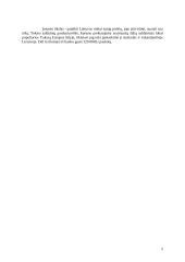 Verslo planas: saldainių parduotuvė UAB "Saldaininė" 2 puslapis