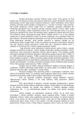 Verslo planas: saldainių parduotuvė UAB "Saldaininė" 11 puslapis