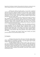 Verslo planas: saldainių parduotuvė UAB "Saldaininė" 12 puslapis