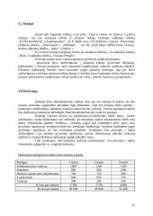 Verslo planas: saldainių parduotuvė UAB "Saldaininė" 13 puslapis