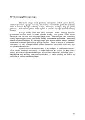 Verslo planas: saldainių parduotuvė UAB "Saldaininė" 15 puslapis