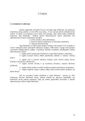 Verslo planas: saldainių parduotuvė UAB "Saldaininė" 16 puslapis