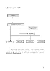 Verslo planas: saldainių parduotuvė UAB "Saldaininė" 17 puslapis