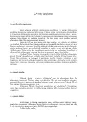 Verslo planas: saldainių parduotuvė UAB "Saldaininė" 3 puslapis