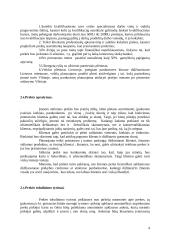 Verslo planas: saldainių parduotuvė UAB "Saldaininė" 4 puslapis