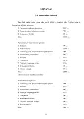Verslo planas: skalbykla IĮ "Švara" 13 puslapis