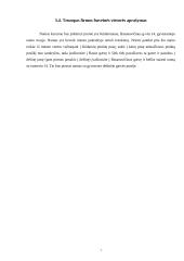 Verslo planas: skalbykla IĮ "Švara" 7 puslapis