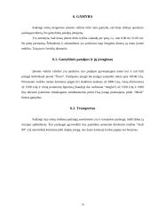 Verslo planas: skalbykla IĮ "Švara" 10 puslapis