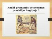 Skaidrės: Pramonės perversmas 3 puslapis