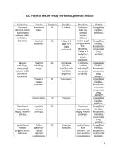 Projektų valdymas. Referatas 5 puslapis