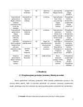 Projektų valdymas. Referatas 6 puslapis