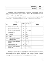 Projektų valdymas. Referatas 8 puslapis