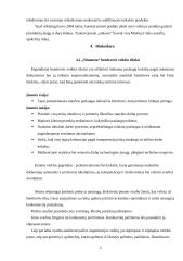 Verslo planas: statybos darbai UAB "Simansta" 2 puslapis